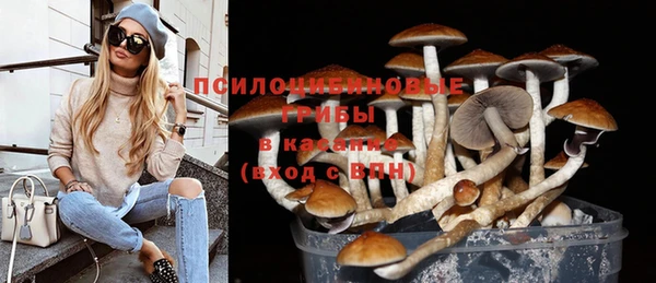 тгк Аркадак